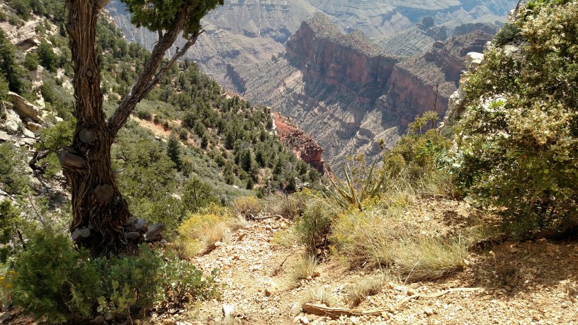 IMG_20170911_123436053