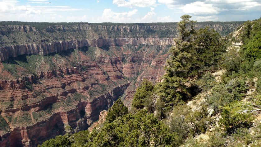 IMG_20170911_123640037