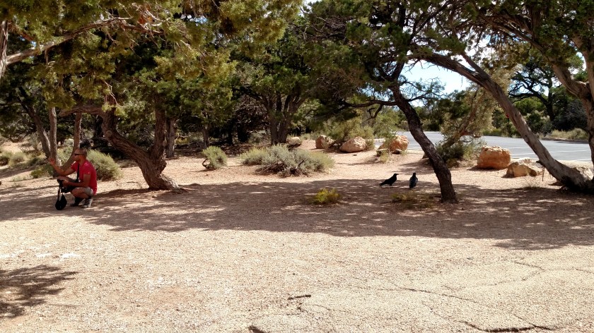 IMG_20170913_103846078