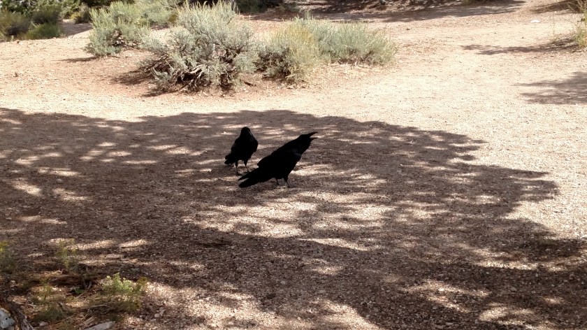 IMG_20170913_103924474