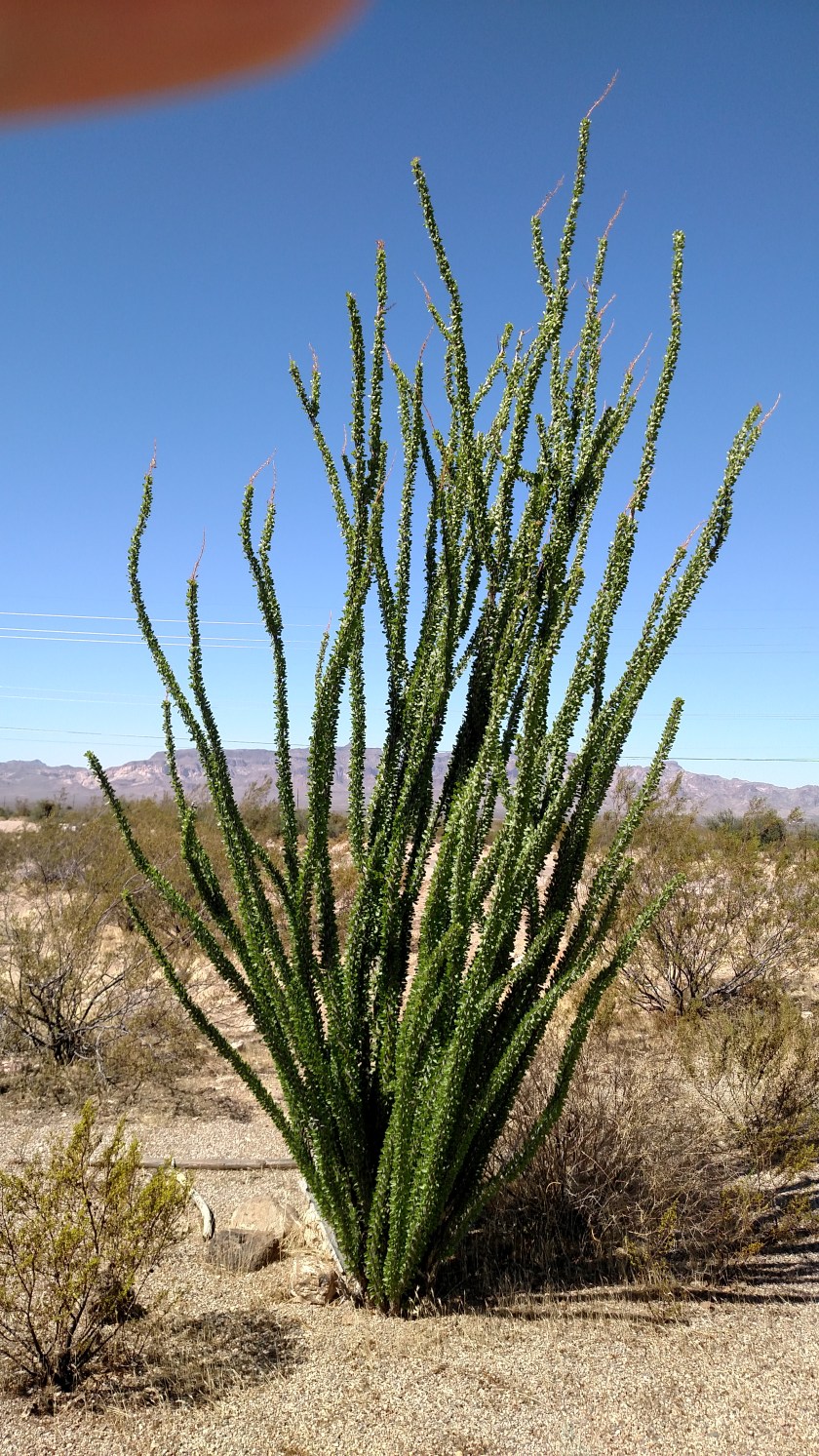 IMG_20170914_105248864