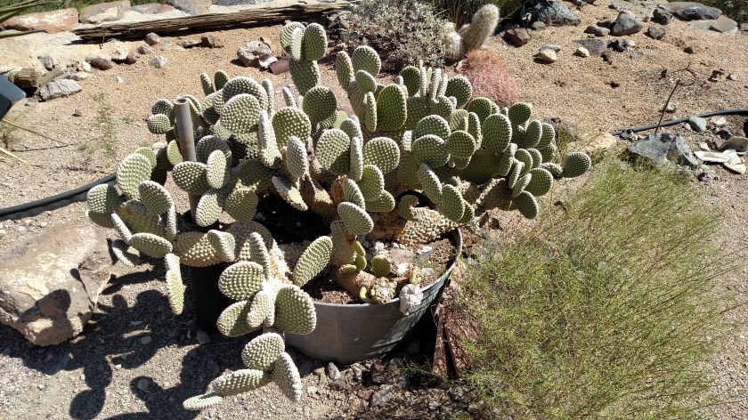 IMG_20170914_113553878