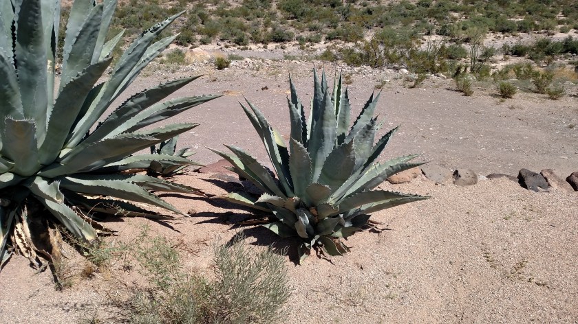 IMG_20170914_113706578