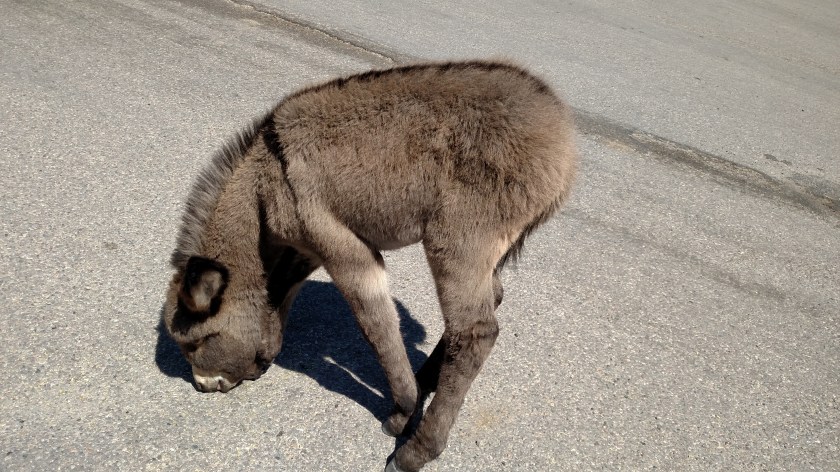 IMG_20170914_123747629