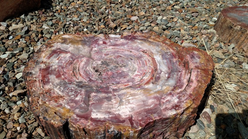 IMG_20170916_100537516