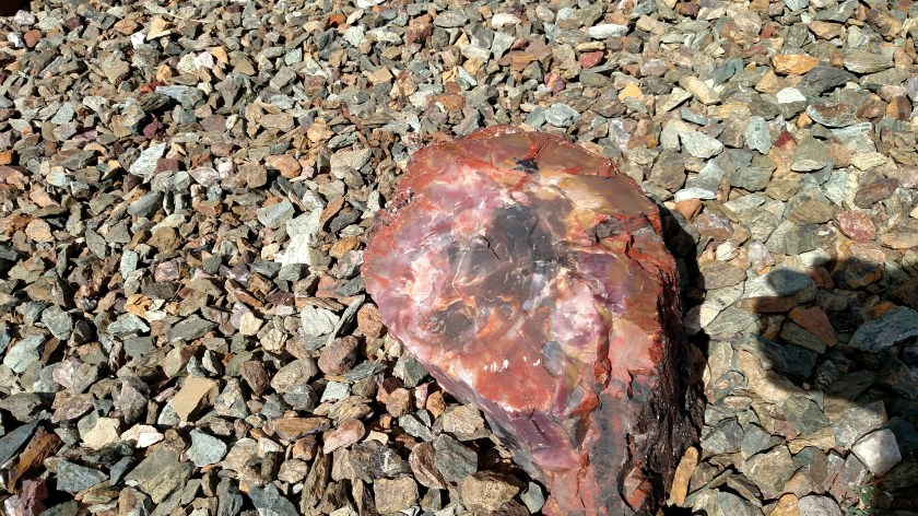 IMG_20170916_100613602