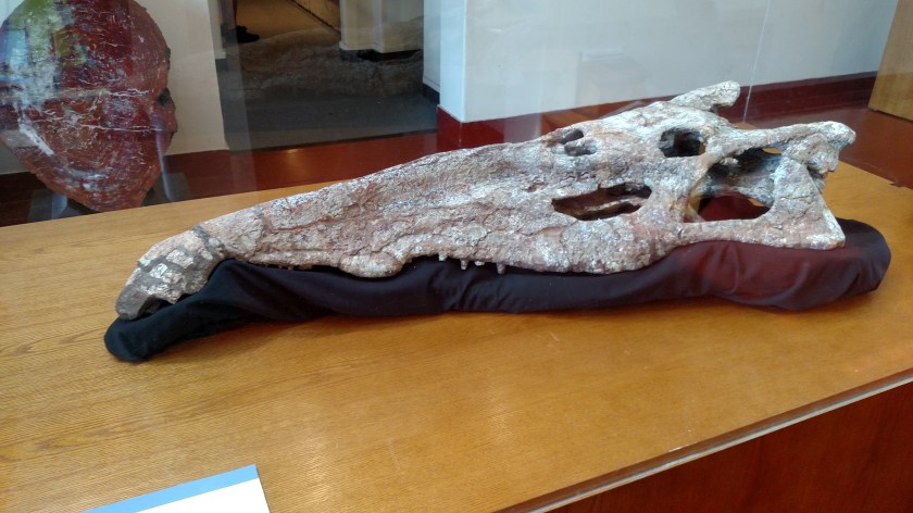 IMG_20170916_100802155