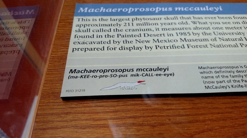 IMG_20170916_100822726