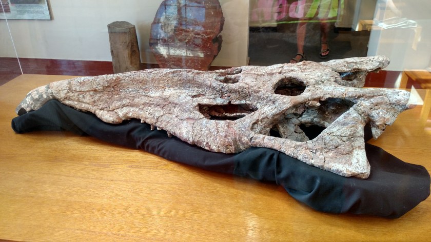 IMG_20170916_100845949_HDR