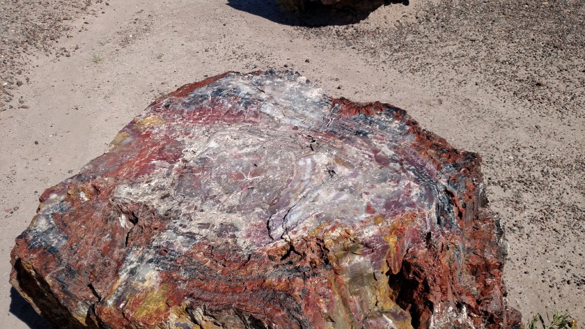 IMG_20170916_105616792