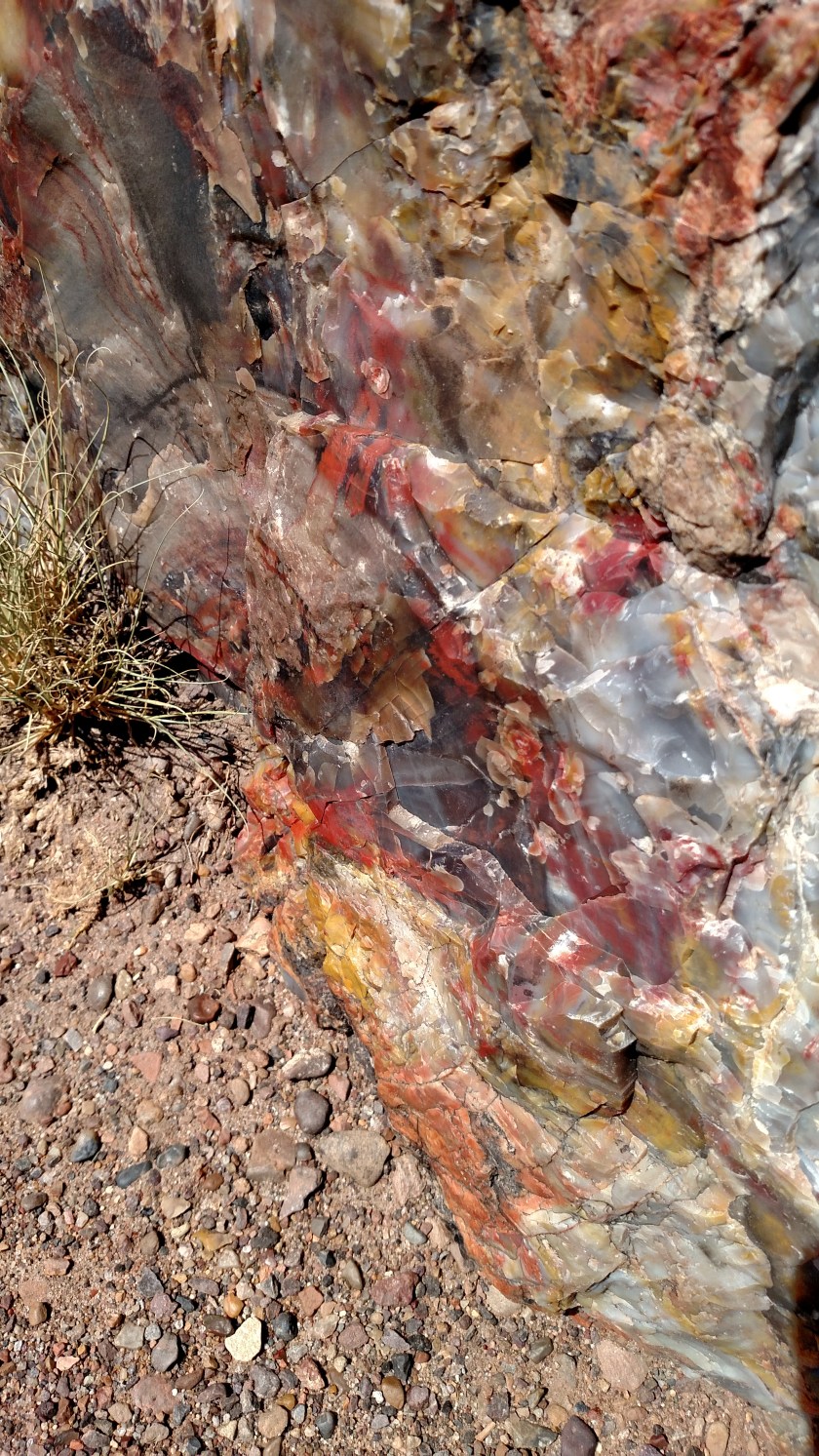 IMG_20170916_105746643