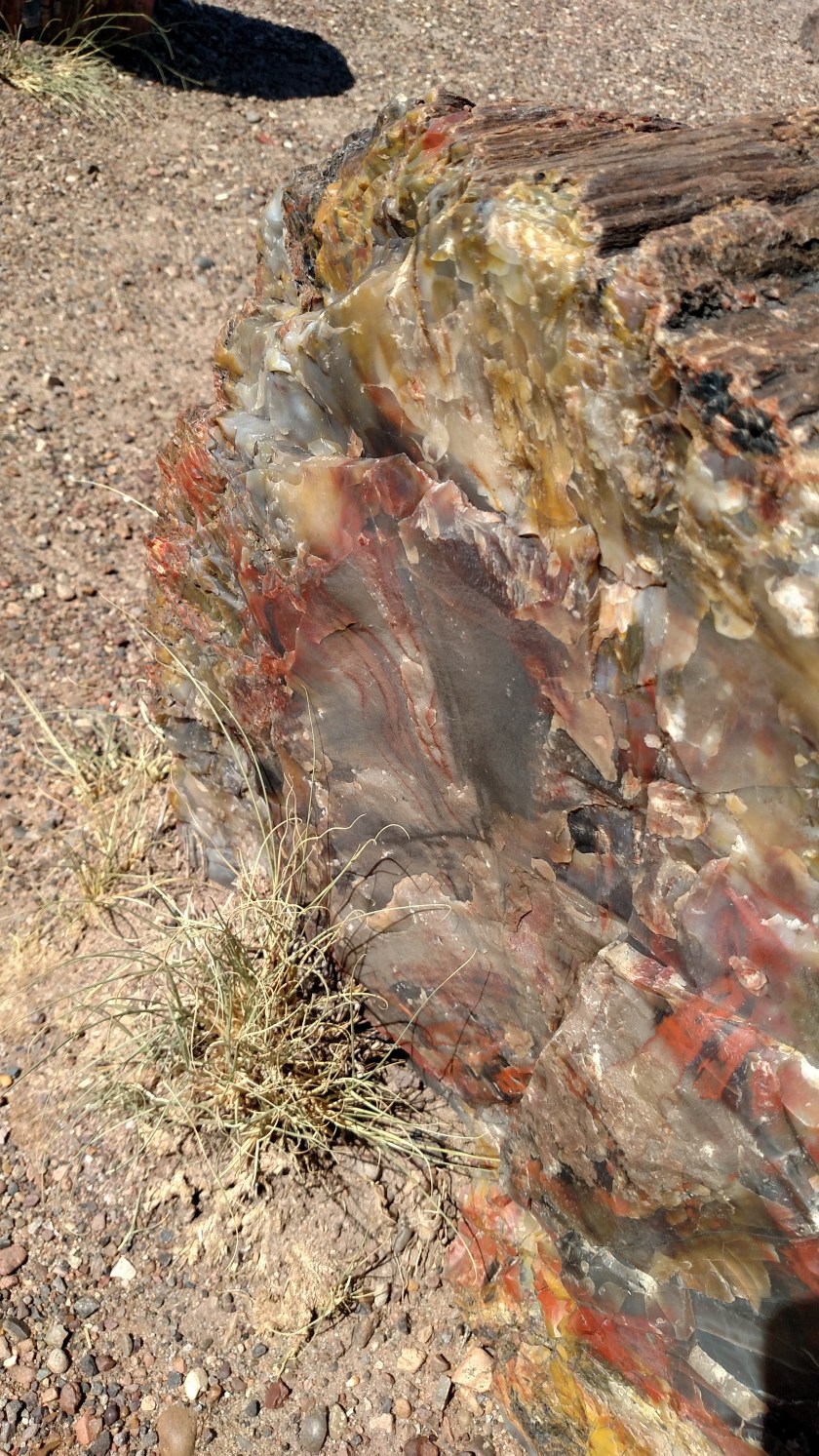 IMG_20170916_105753150