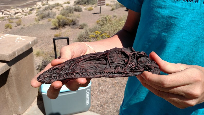 IMG_20170916_120339835