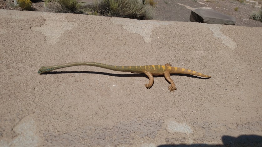 IMG_20170916_120410538