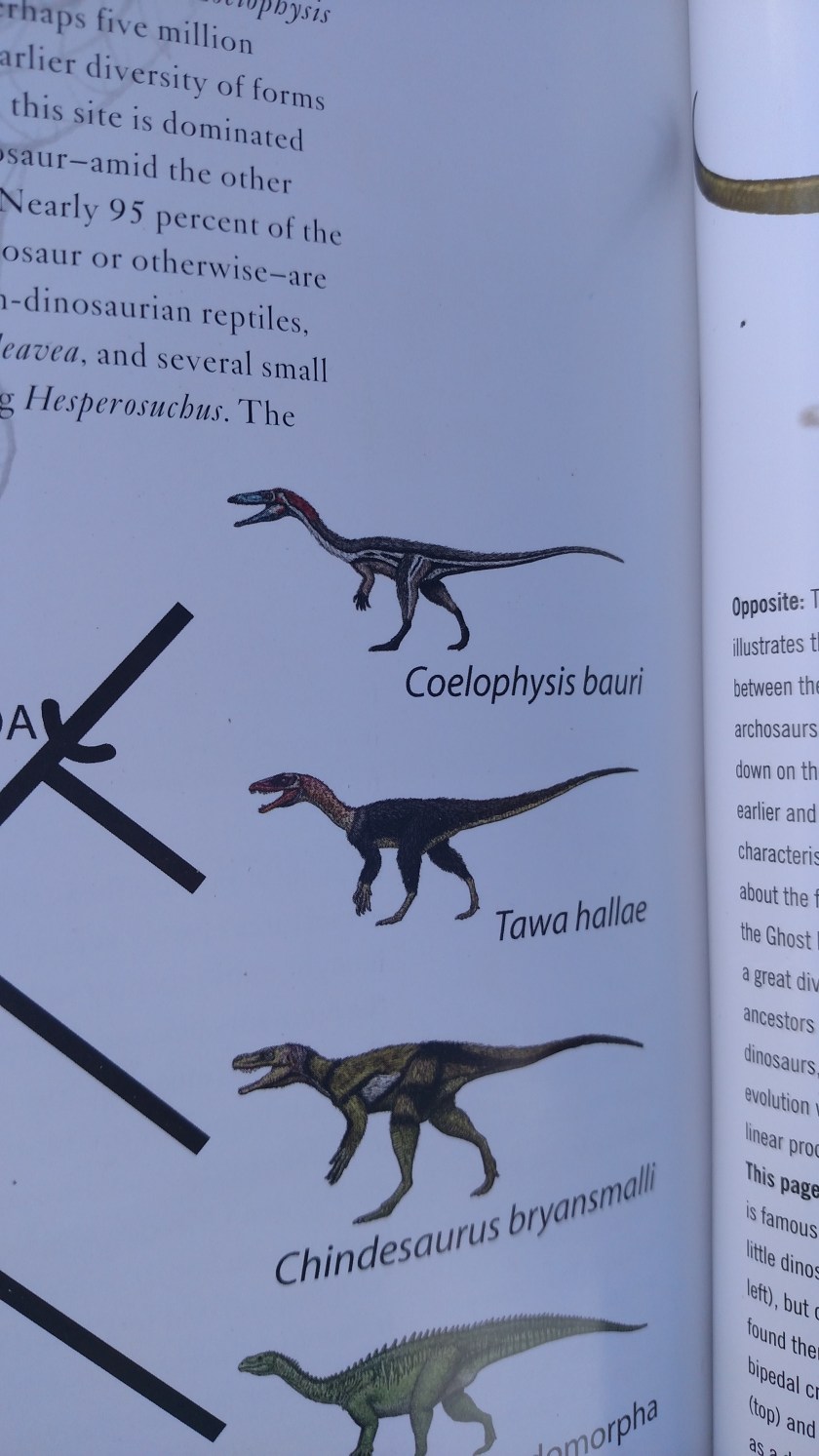 IMG_20170916_121344266