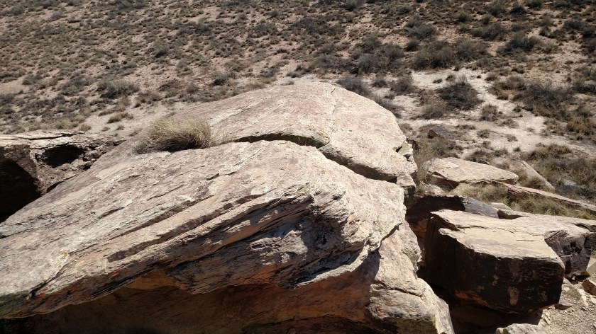 IMG_20170916_140632432