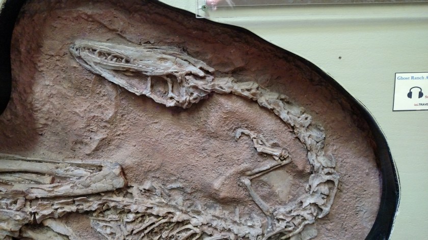 IMG_20170920_125429304