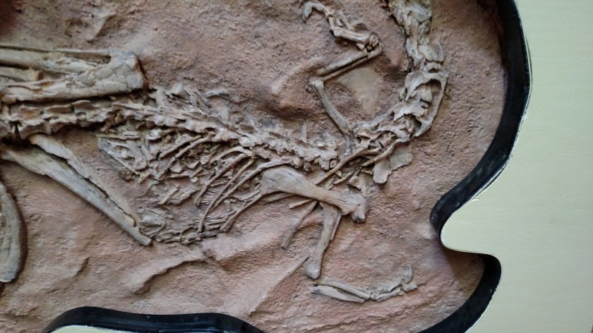 IMG_20170920_125432286