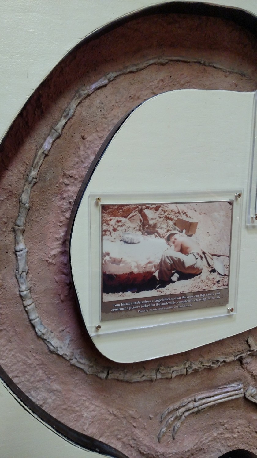 IMG_20170920_125450647