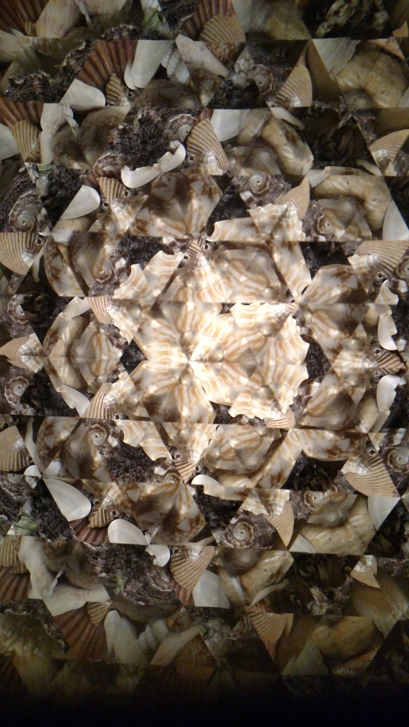 IMG_20170922_105400689