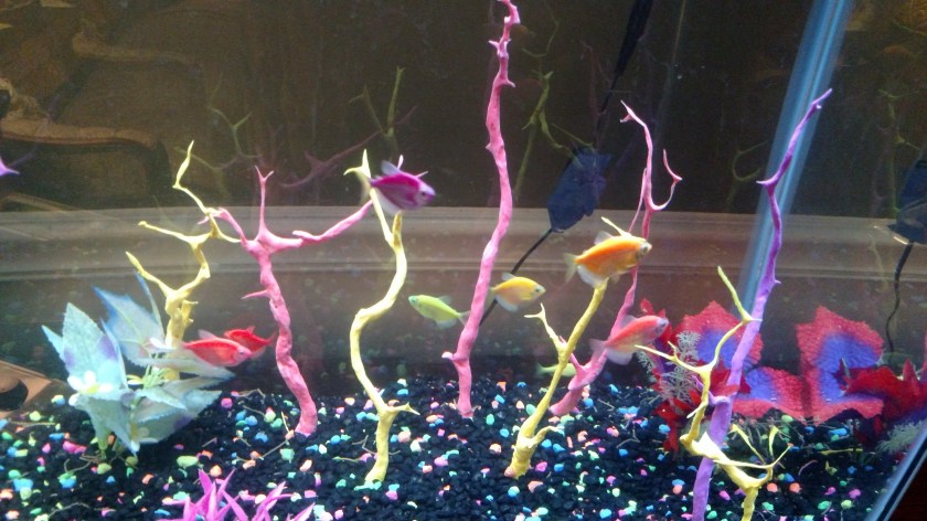 IMG_20170922_105529658