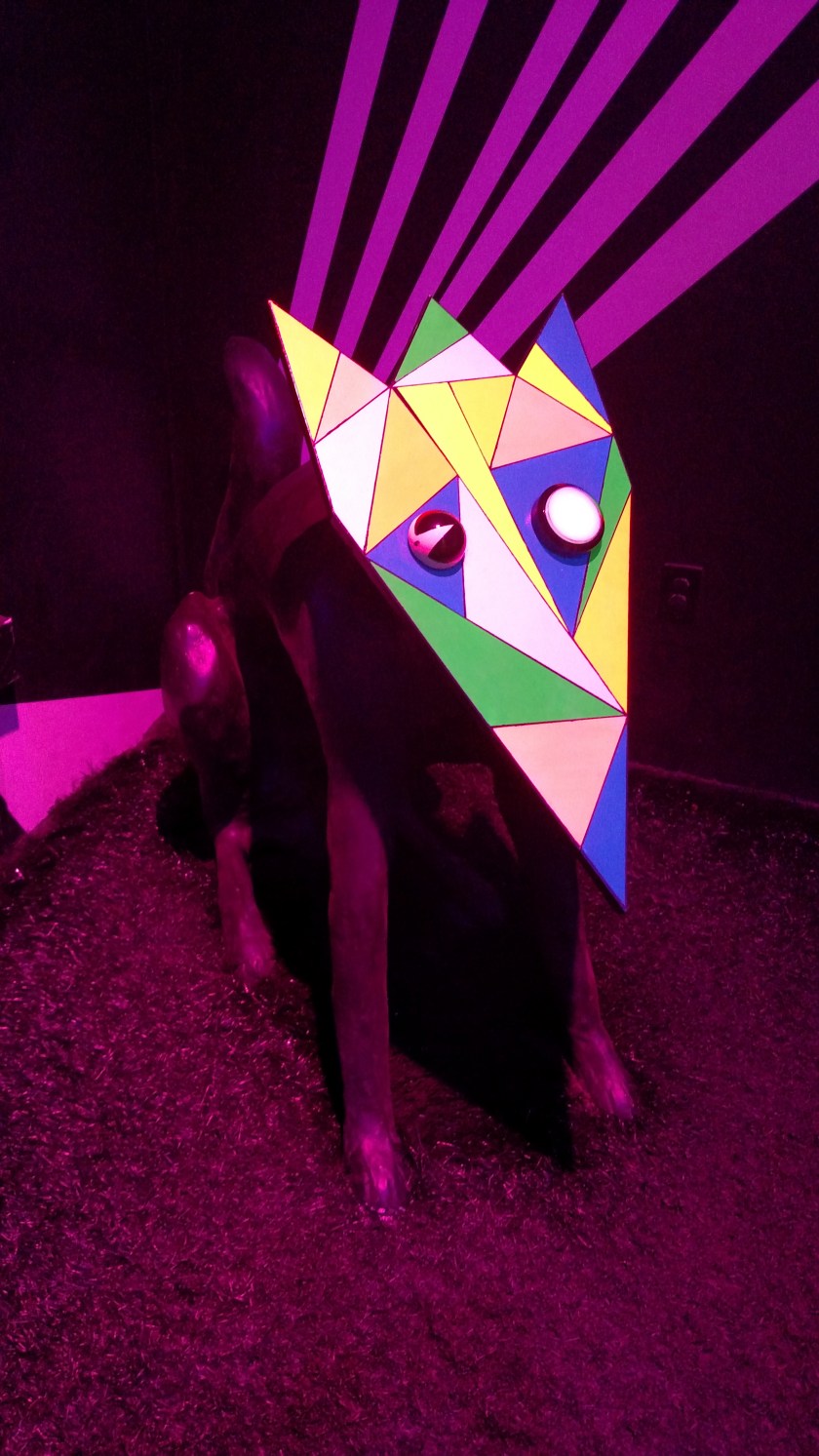 IMG_20170922_110240386