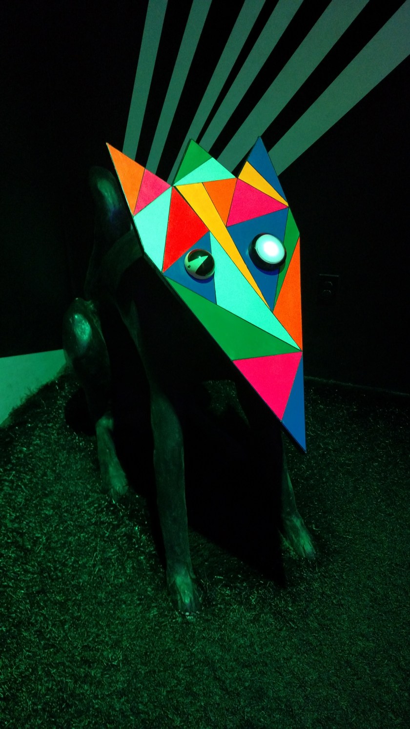 IMG_20170922_110251917