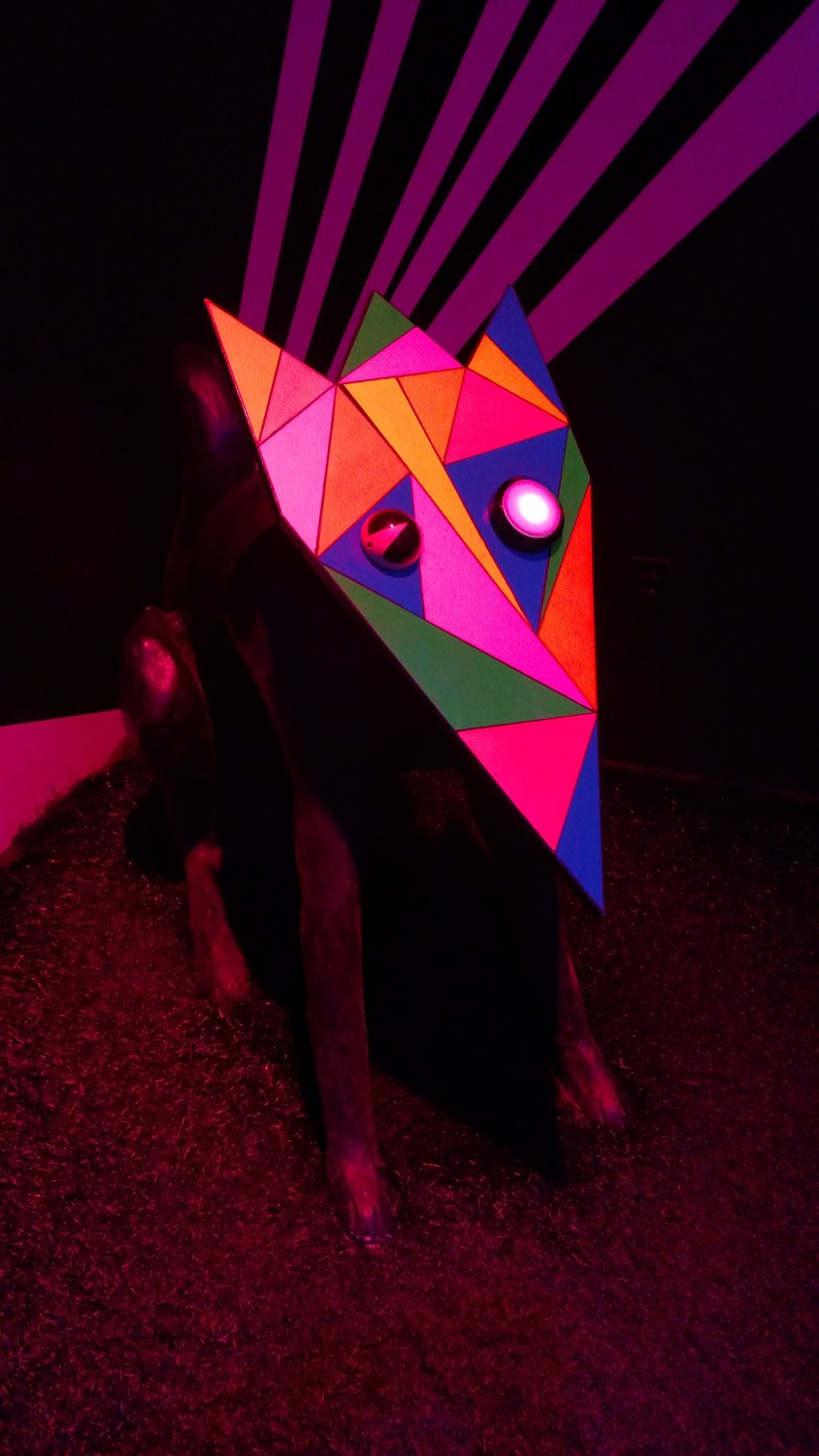 IMG_20170922_110254213