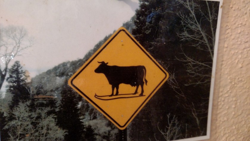 IMG_20170924_161900931