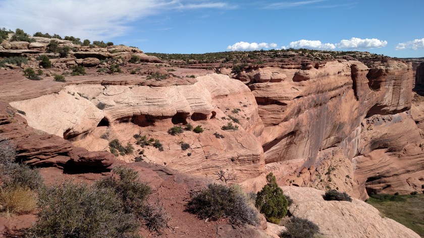 IMG_20170926_112852393