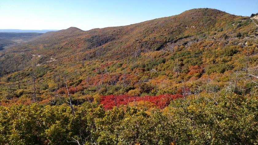 IMG_20171001_093142517