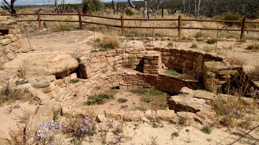 IMG_20171001_131339738