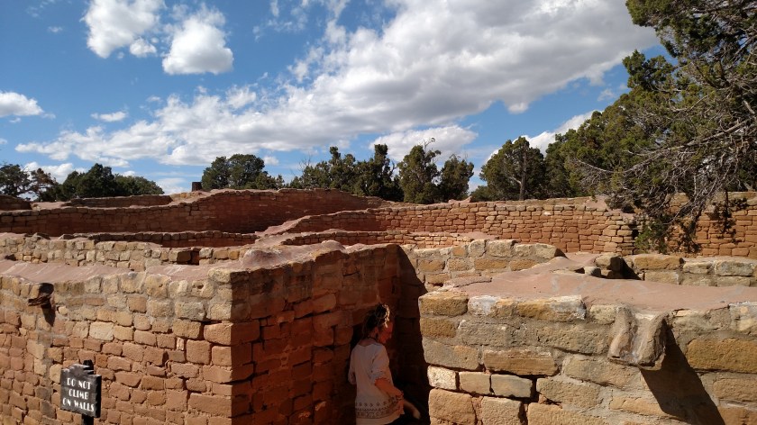 IMG_20171001_144454553