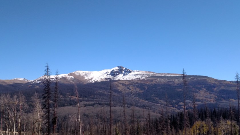 IMG_20171003_122118755