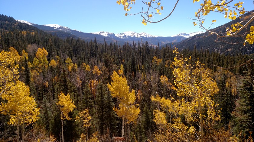 IMG_20171003_131823992