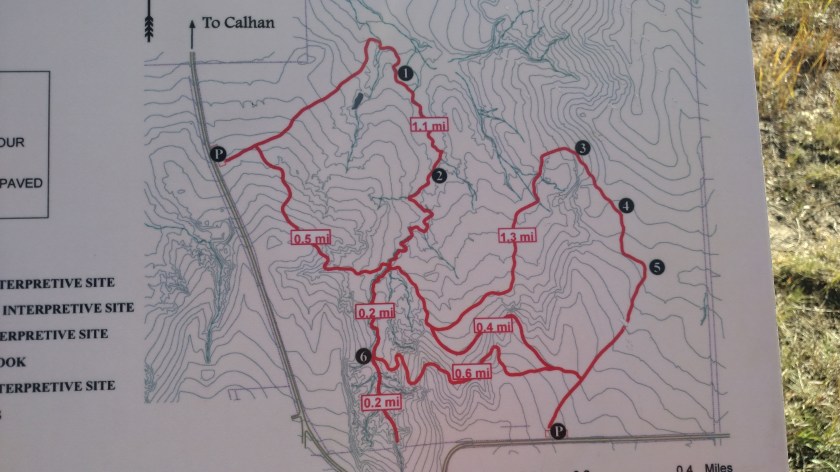 IMG_20171007_102541096