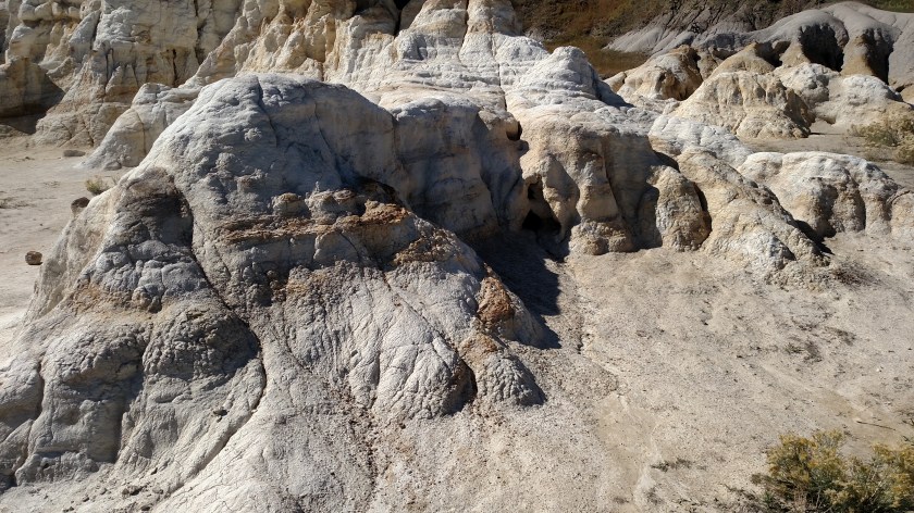 IMG_20171007_111559945