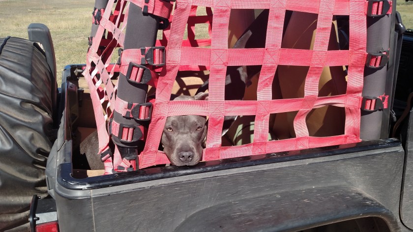 IMG_20171007_124408186