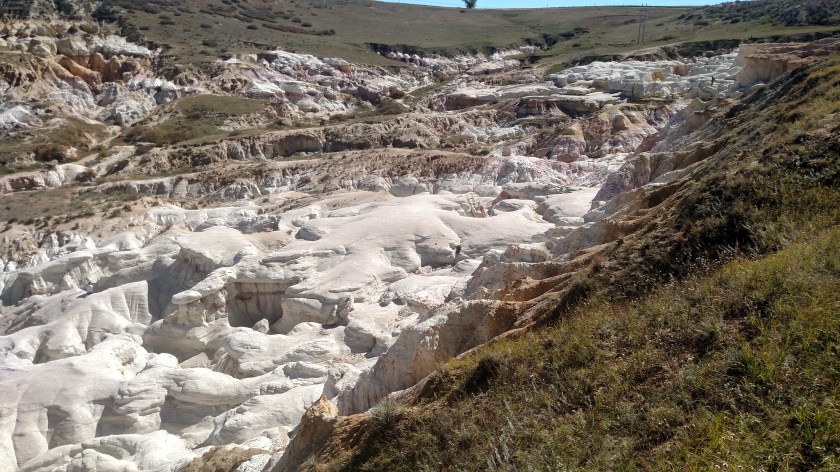 IMG_20171007_125222933