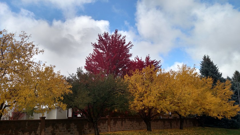 IMG_20171009_134501213_HDR