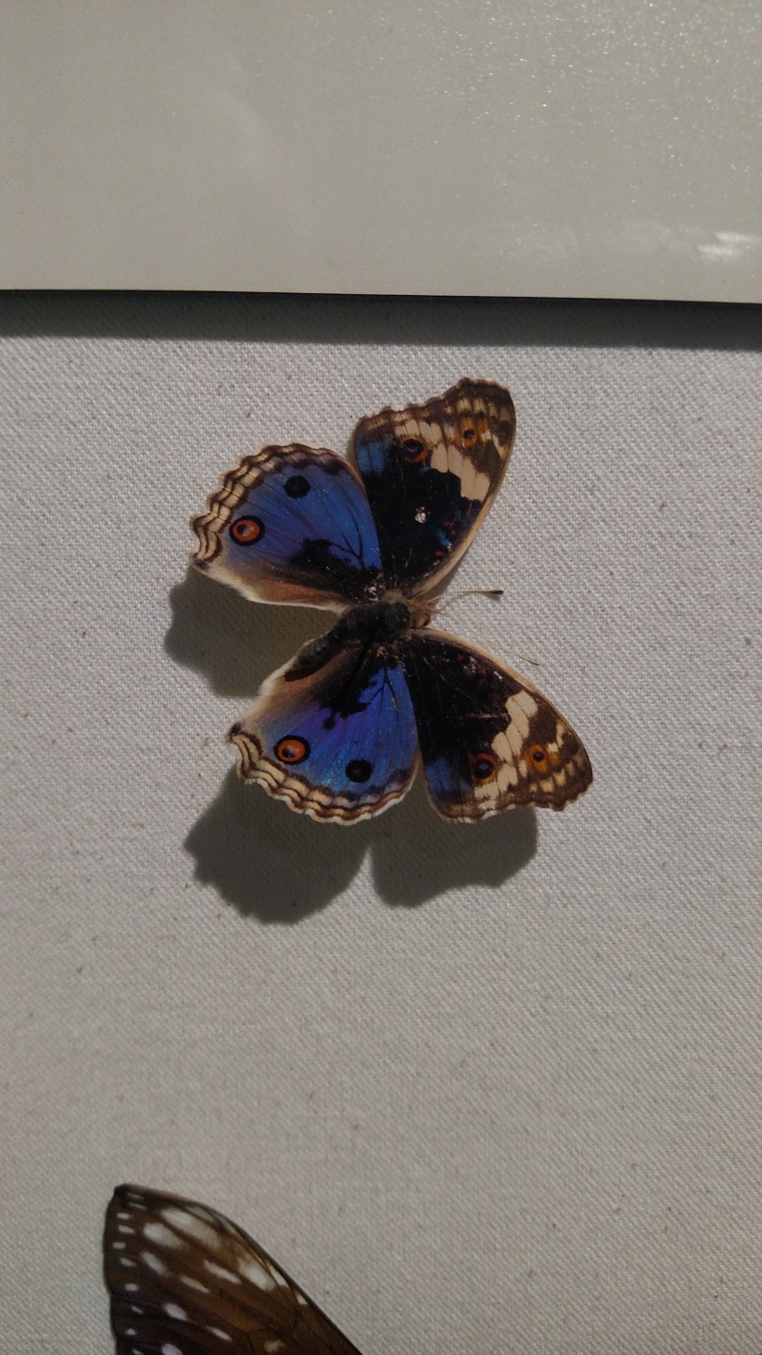 IMG_20171013_134532106