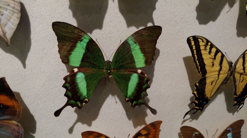 IMG_20171013_134548897