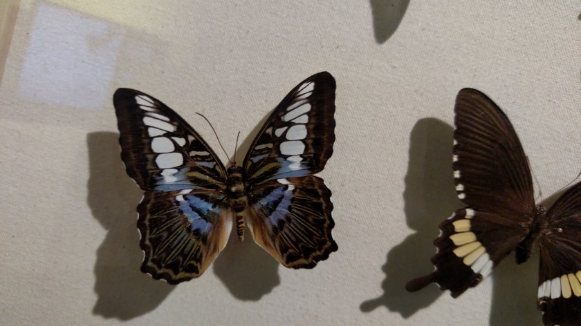 IMG_20171013_134814811