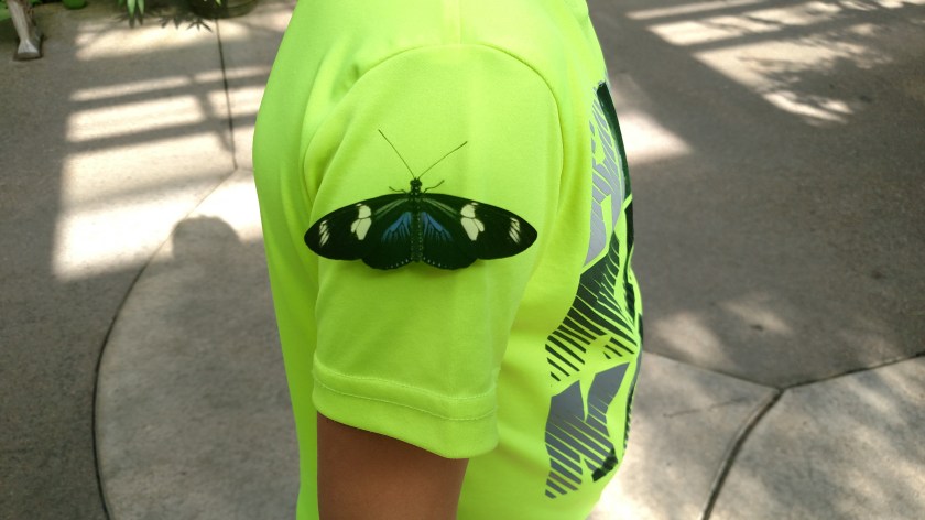 IMG_20171013_135543364