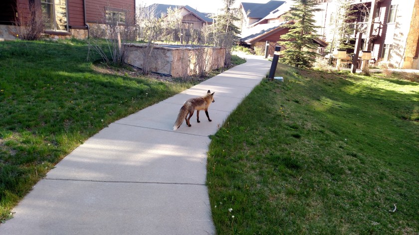 IMG_20180516_182226041