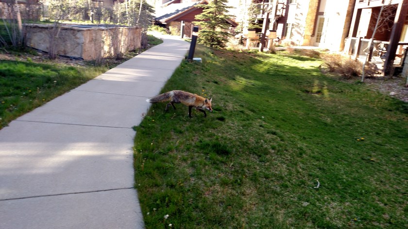 IMG_20180516_182228313