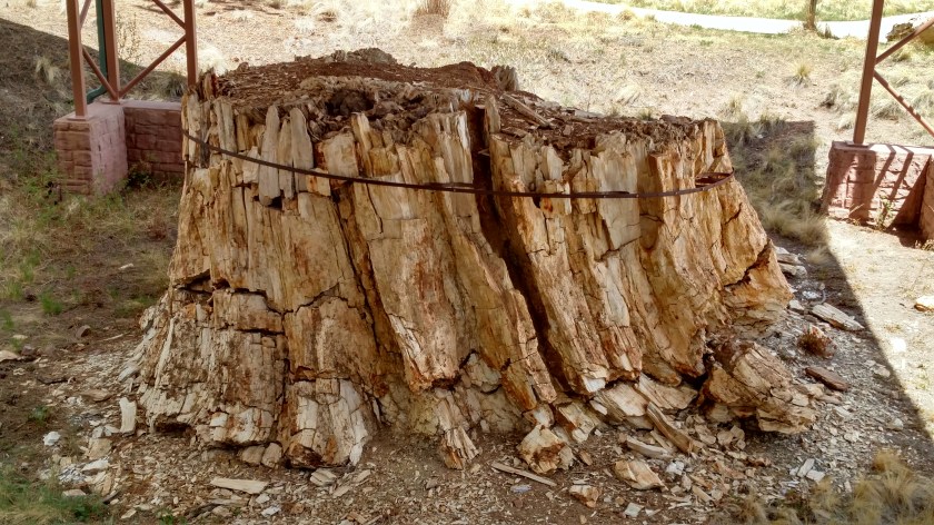 IMG_20180518_114900303_HDR