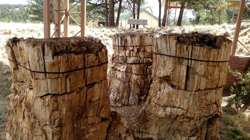 IMG_20180518_115020877