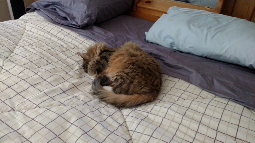 IMG_20180524_081519060