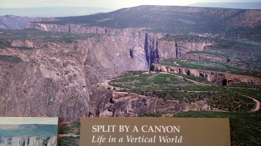 IMG_20180524_124300938